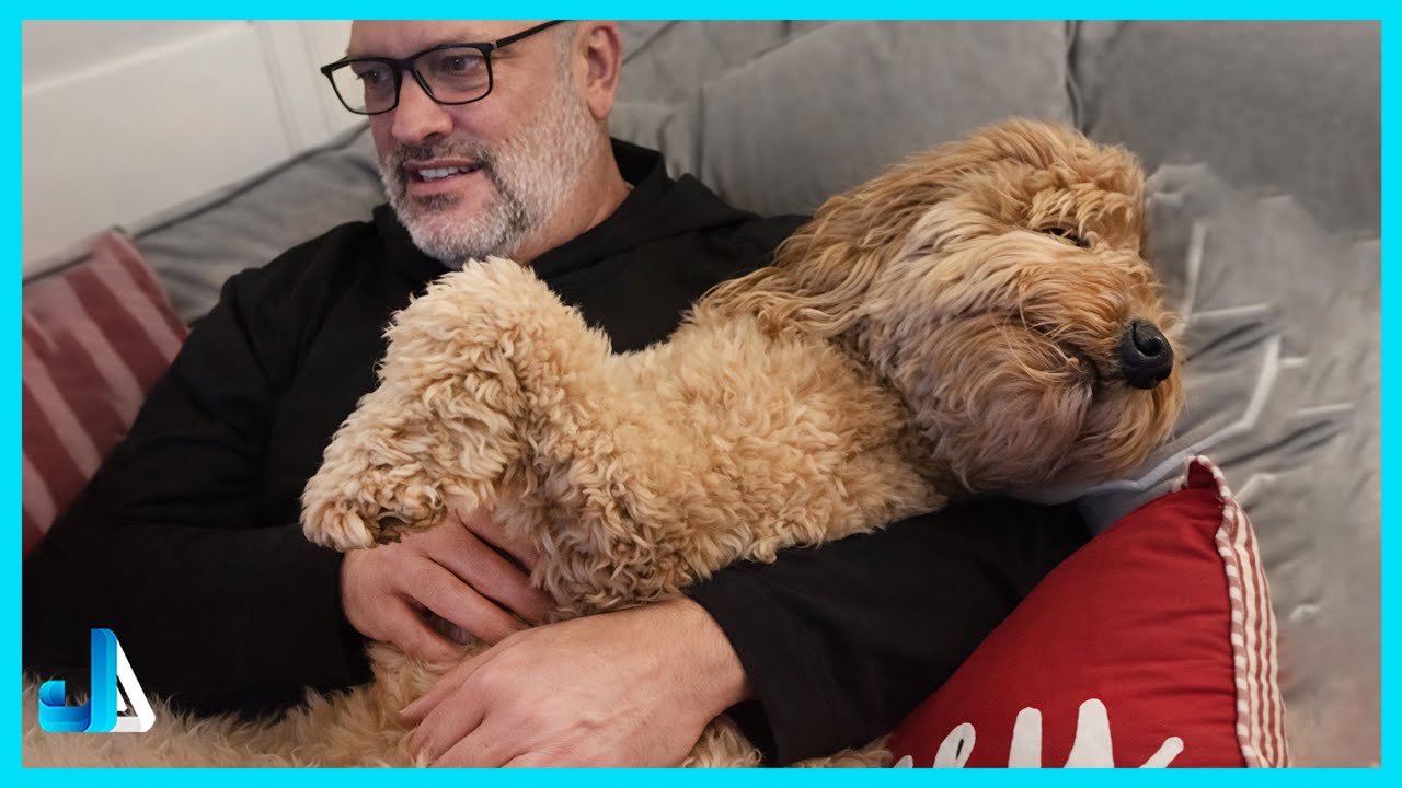 Dads Are Now Best Friends With The Dogs They Didn't Want 🤣