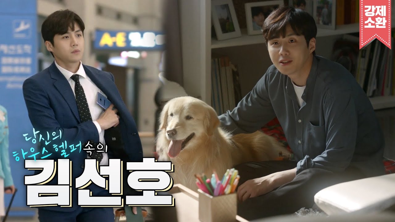 ⭐김선호⭐ 이렇게 설레게 생겨도 되는 거야..? | #당신의_하우스_헬퍼 [KBS 방송]