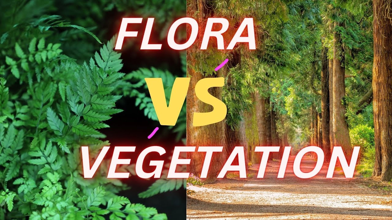 Flora Vs Vegetation || Difference Between Flora and Vegetation 