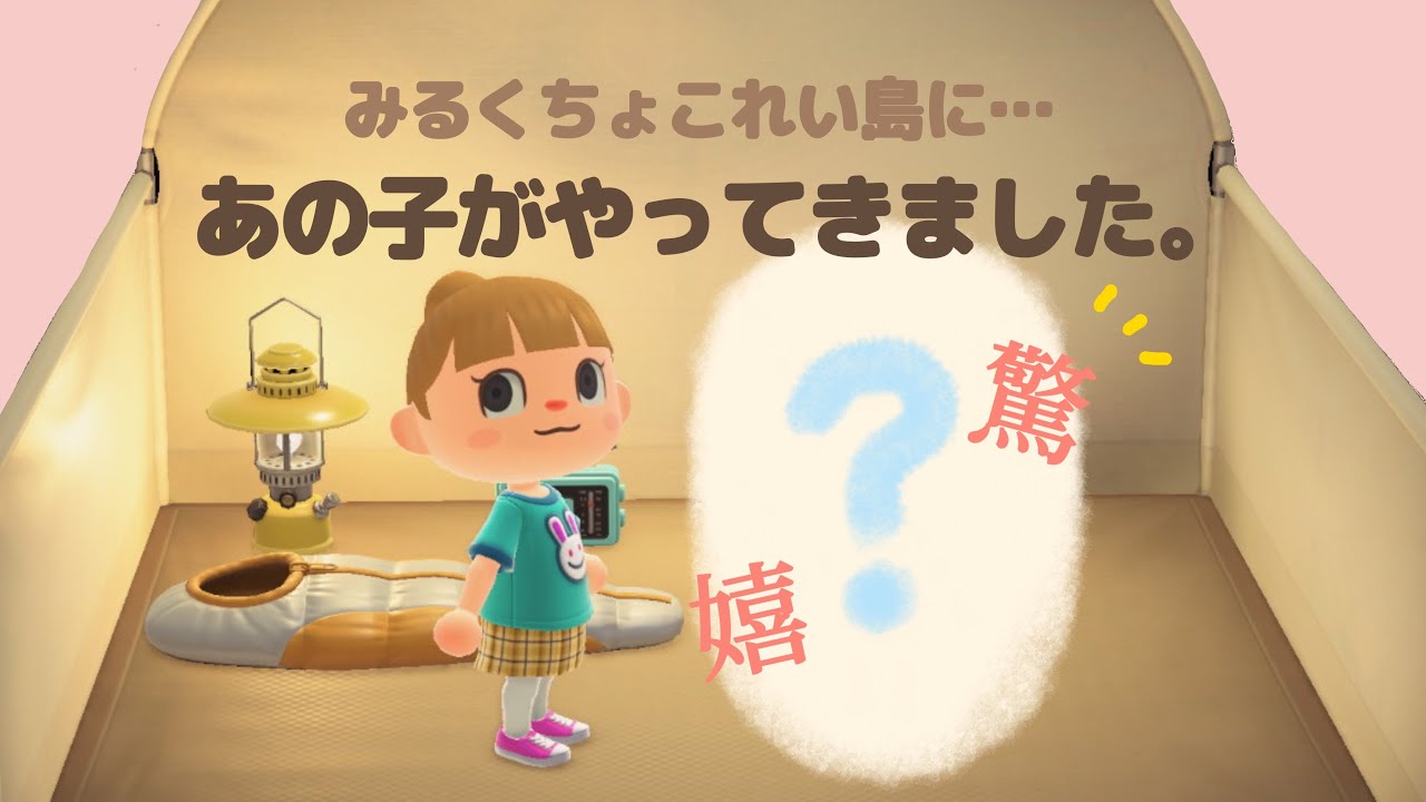 【あつ森】島に新しい住民さんがやってきました。【キャンプサイト】【新生活】