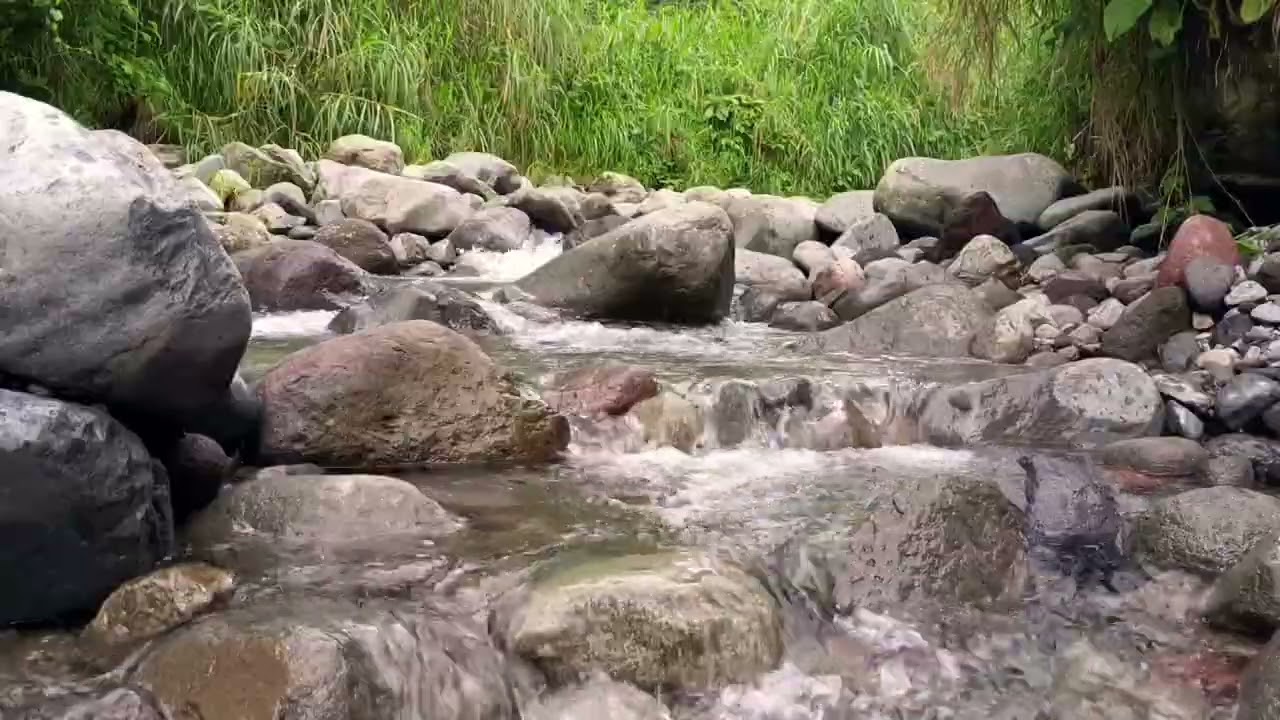 Starry Night River – Calm Ambience