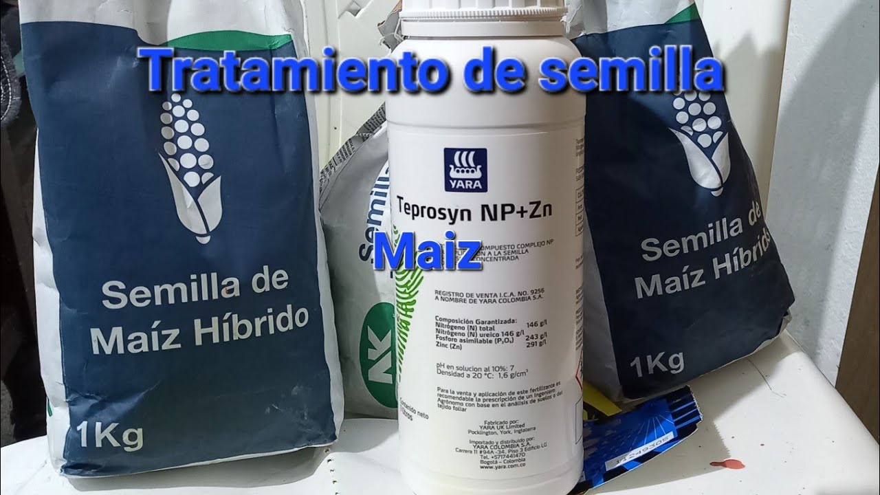 Como tratar la semilla de maíz con YaraVita TEPROSYN NP+Zn/