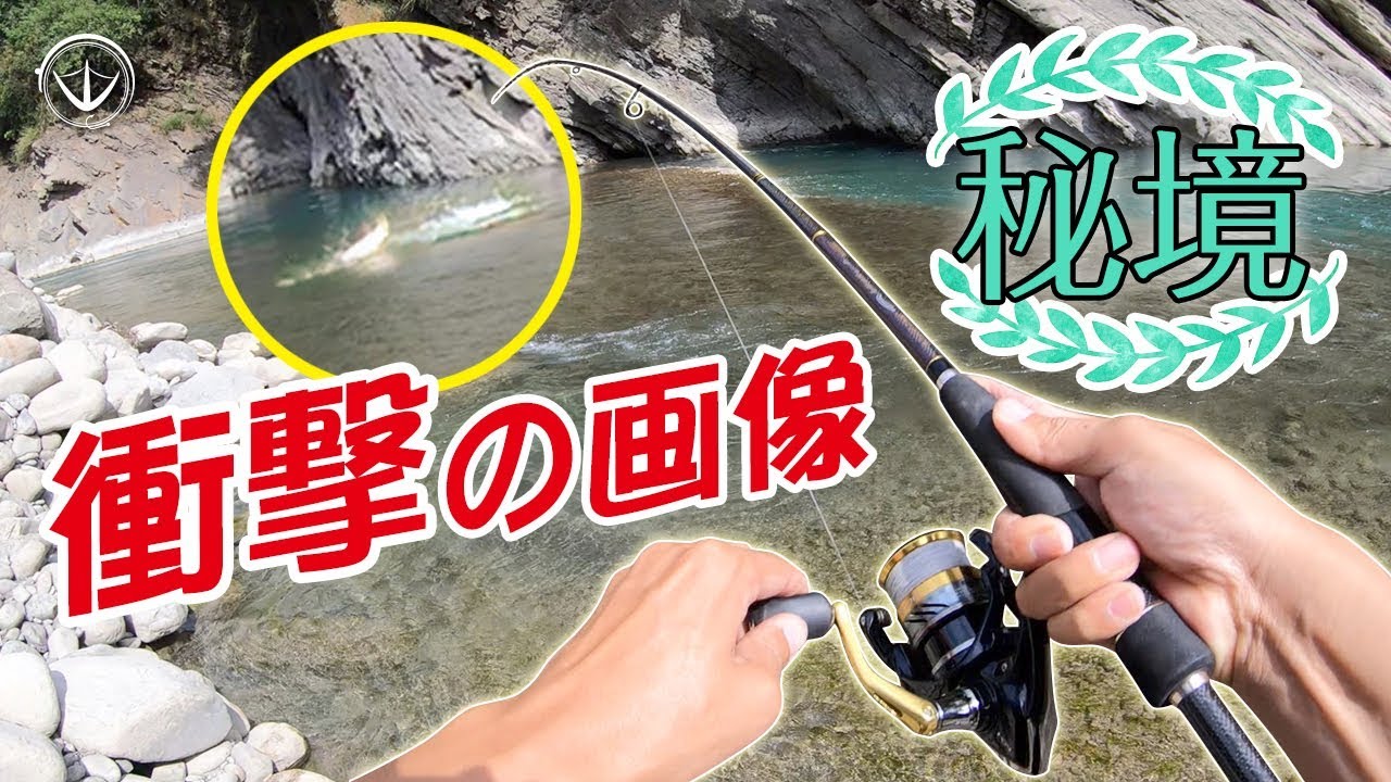 水表大爆炸？！深入不毛秘境終於捕捉到珍貴畫面！#鵝大人 #釣魚 #溪流釣