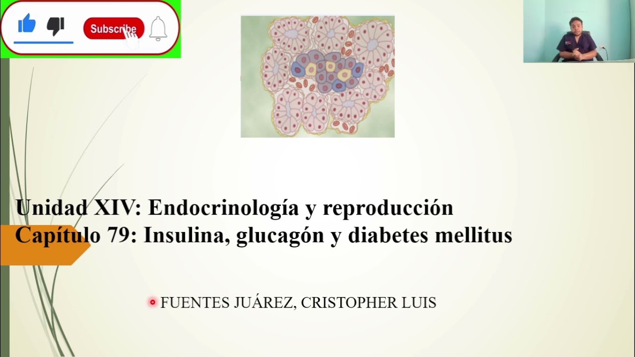 FISIOLOGÍA: INSULINA, GLUCAGÓN y DIABETES MELLITUS