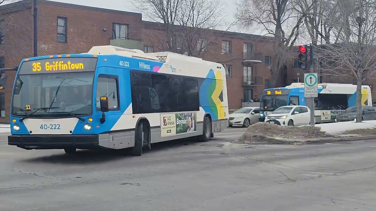 STM Bus Compilation (February 2026) 