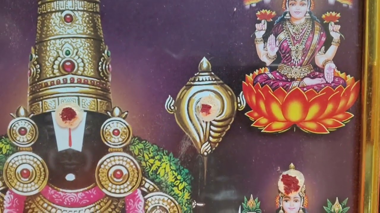 శనివారం ప్రత్యేకం | శ్రీ వెంకటేశ్వర స్వామి దివ్య దర్శనం 🙏 | Saturday Venkateswara Swamy Darshan
