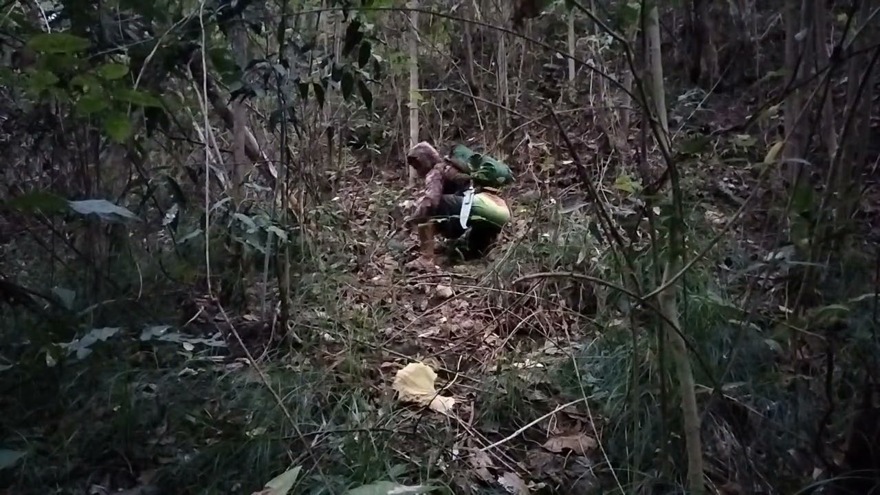 #redjunglefowl #manoklabuyo #buhayprobinsya 