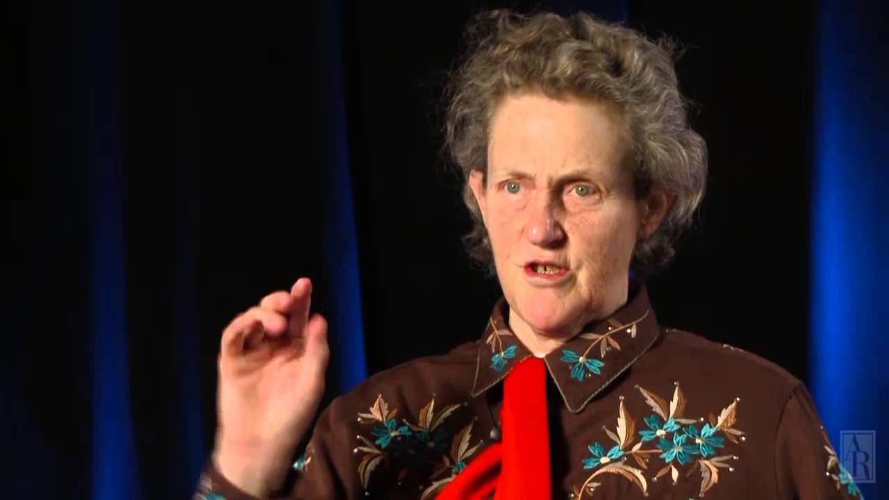 A Lecture in Animal Biosciences: Making Slaughterhouses More Humane for Cattle, Pigs, and Sheep