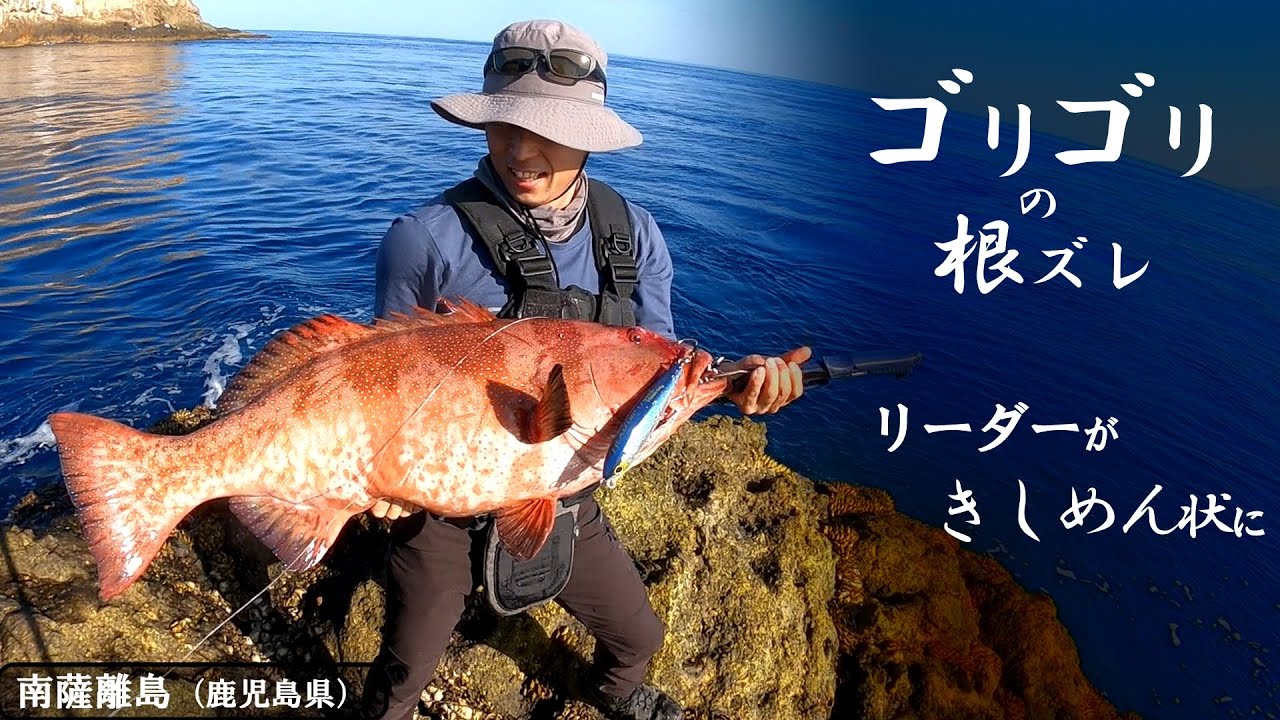 真冬ベタ凪の磯でゴリゴリの根ズレでキャッチ〖南薩離島〗【コルトスナイパーリミテッドS98XH/JS】
