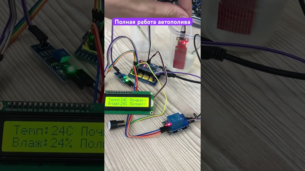 Автополив растений на Arduino!