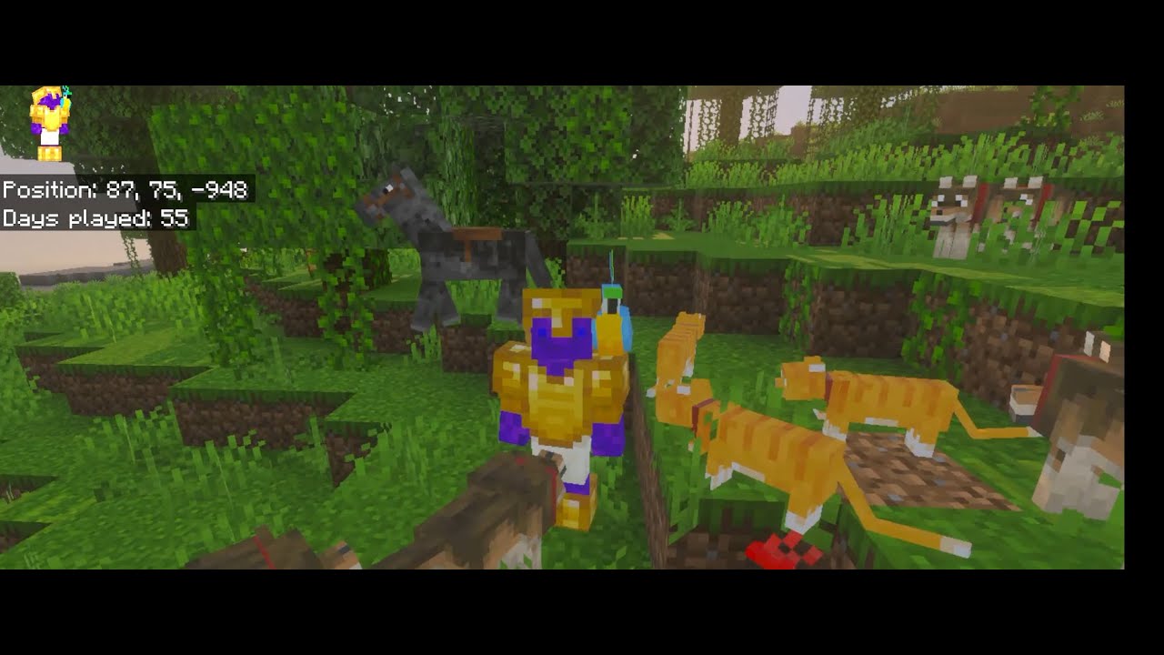 New pets and another travel || #14