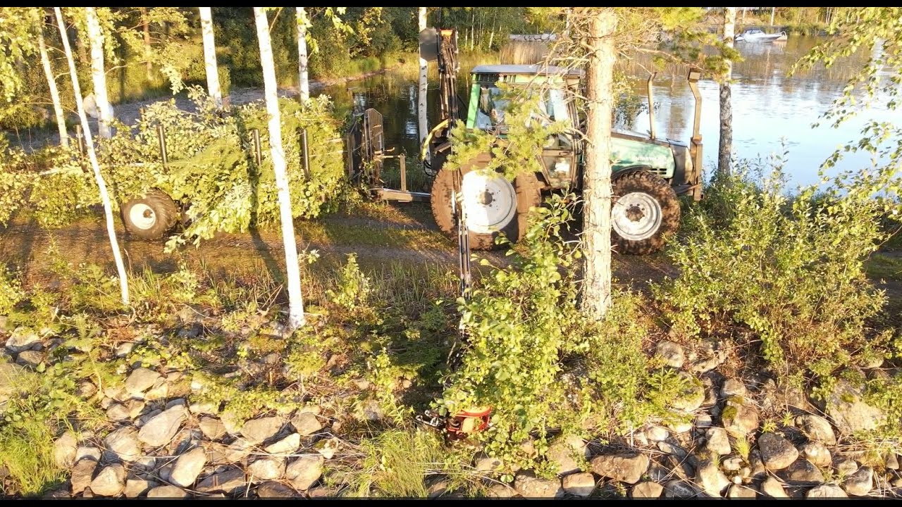 Kerätään ylimääräiset risut ja puskat pois laiturin viereltä energiakouralla
