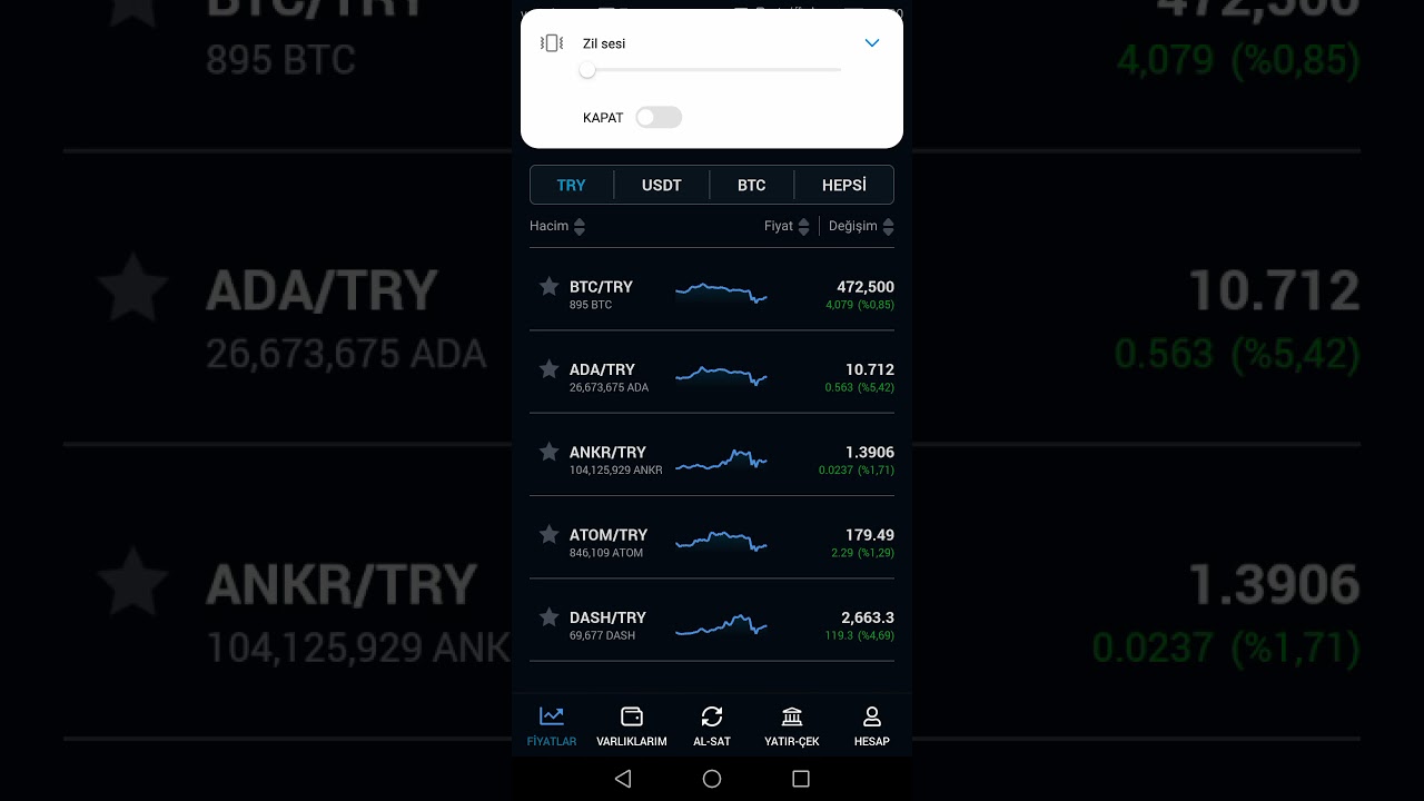 Kripto al sat bu bir yatırım tavsiyesi değildir coinlerin durumu btc t&uuml;rk