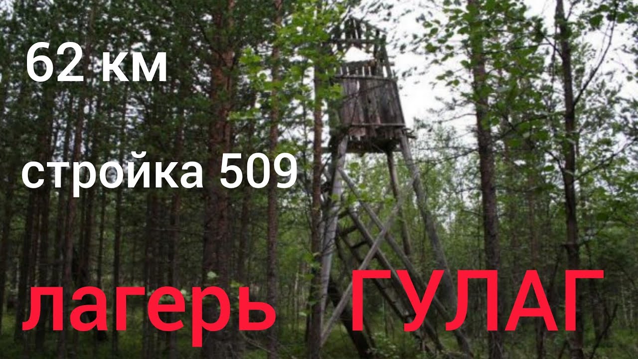 Лагерь ГУЛАГА в лесу