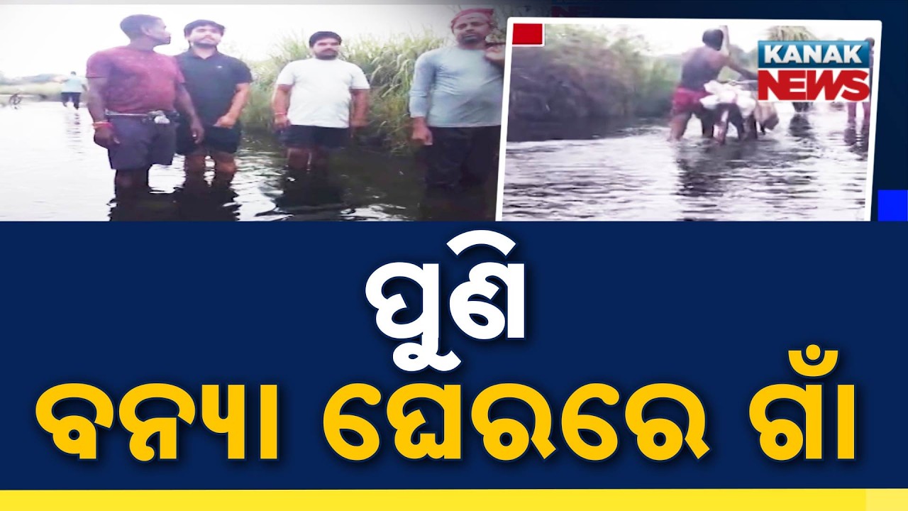 ୧୫ ଦିନରେ ଦ୍ୱିତୀୟ ବନ୍ୟା | Odisha Flood Alert: Low-Lying Villages Under Water Again
