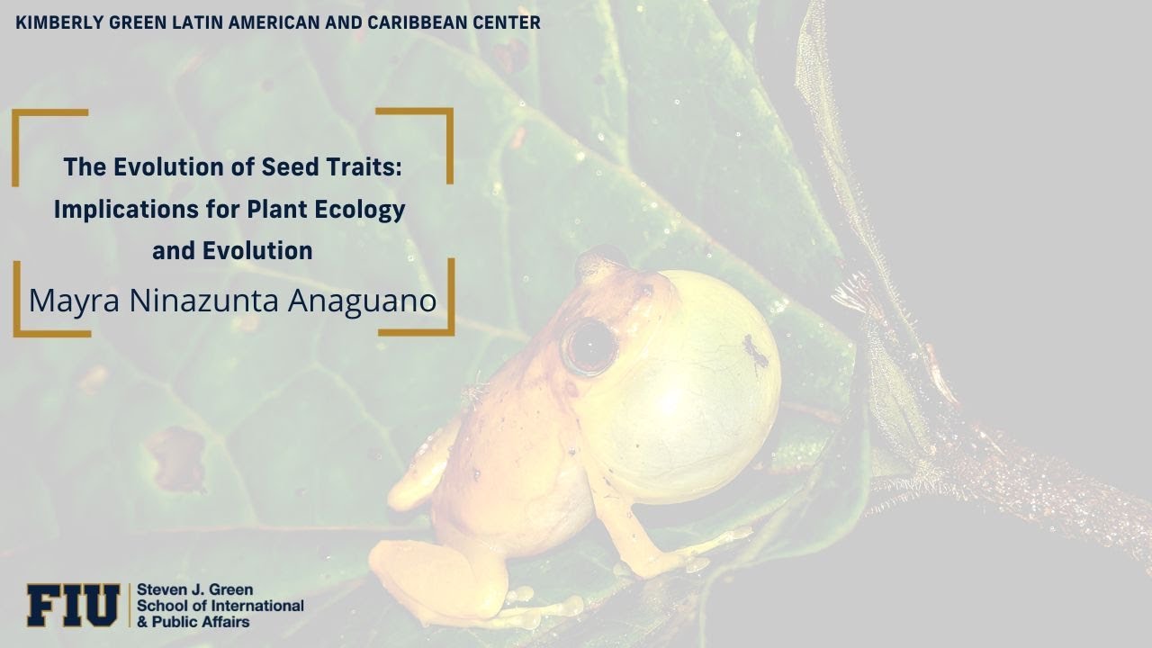 The Evolution of Seed Traits: Implications for Plant Ecology and Evolution
