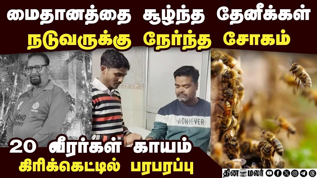தேனீக்கள் கடித்து நடுவர் மரணம்: வீரர்கள், ரசிகர்கள் அதிர்ச்சி  Bee attack |cricket|umpire died