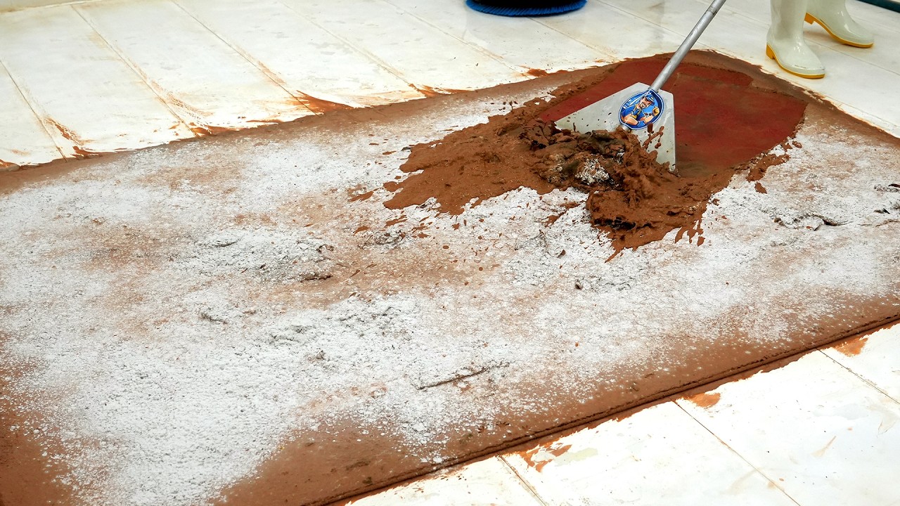 This Carpet Was Buried in Mud for Years - What We Found Underneath Shocked Us - Satisfying Videos