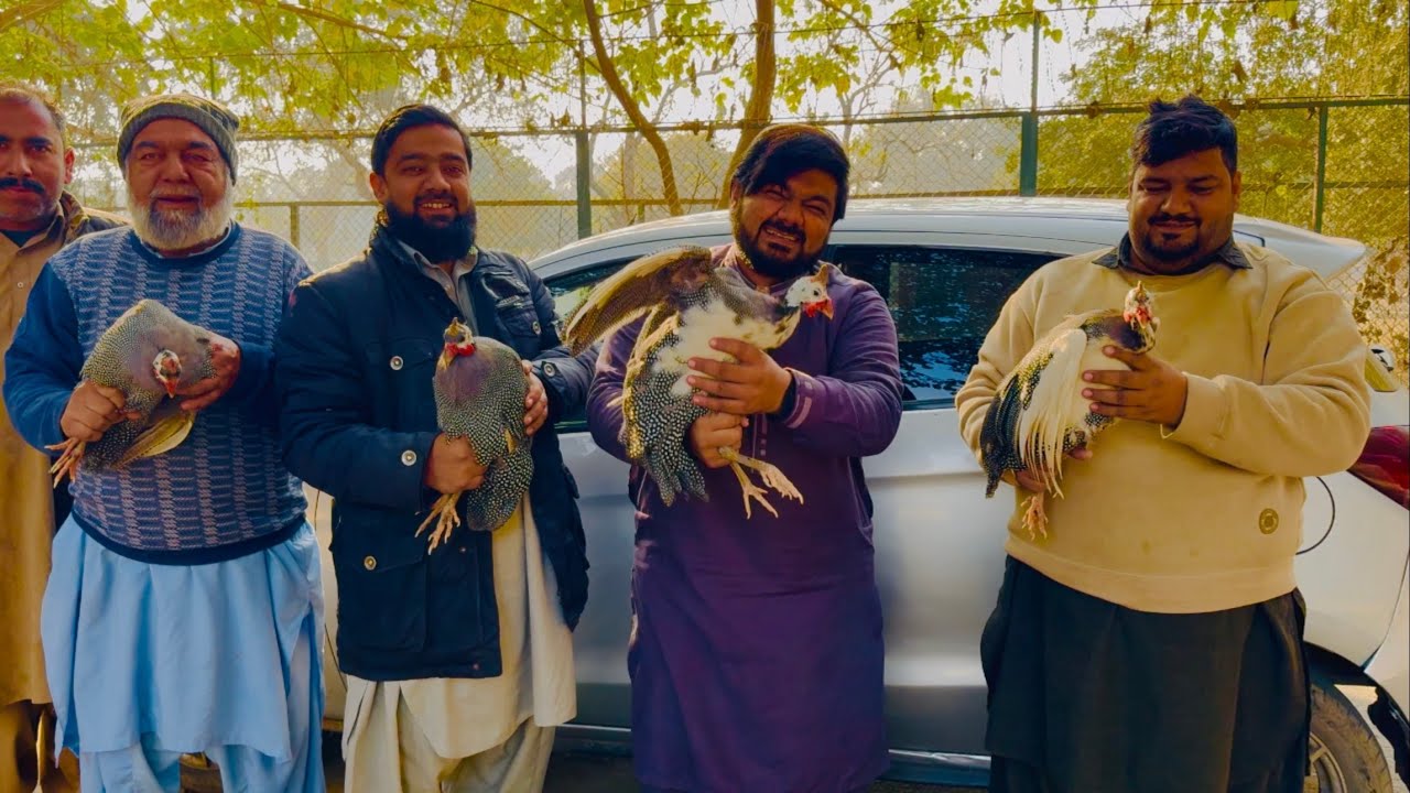 How Chukar Partridge Is Prepared & Cooked | Full Slaughter to VIP Curry Process 😋😋