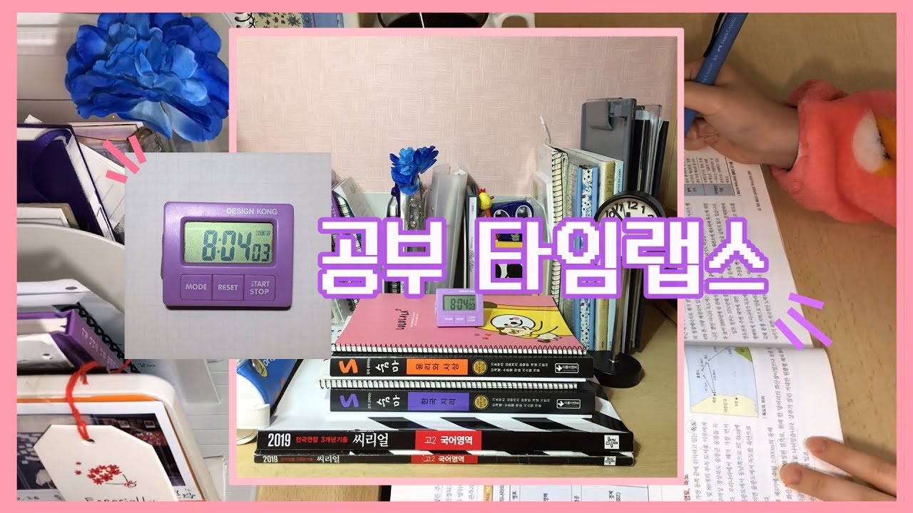 고3 수험생의 8시간 공부 타임랩스🌿 블랙커피 마시며 버틴 날 [같이 공부해요, 공부자극] | Ryoko료코