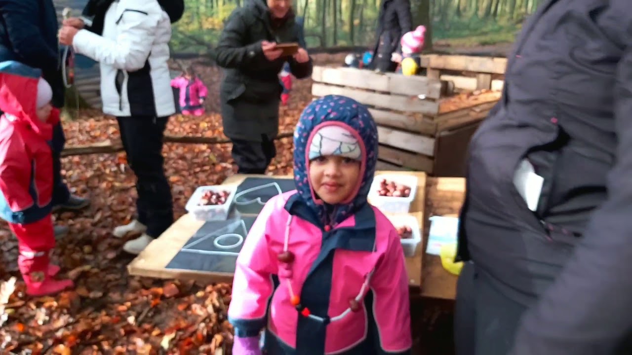 Forest activities in European schools || Natures classroom || chestnut roasting ||Luxembourg ||ecole