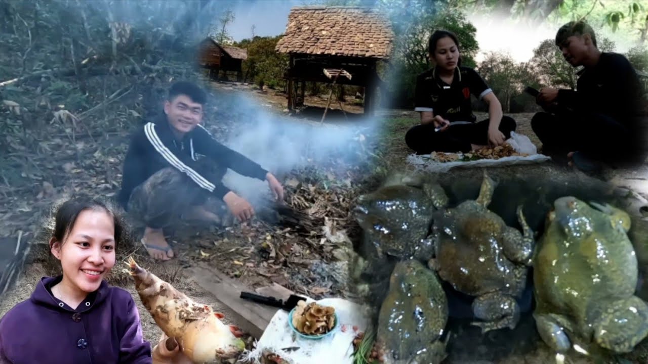 เดินทางเข้าป่า 3 คนกินปิ้งอึ่งตกอ้างกับแกงหน่อไม้/ເດີນທາງເຂົ່າປາ 3 ຄົນກິນປີ້ງອື່ງ