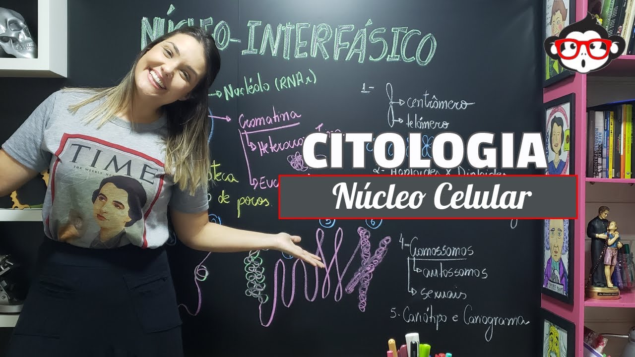 Citogen&eacute;tica e os componentes do n&uacute;cleo 🐒