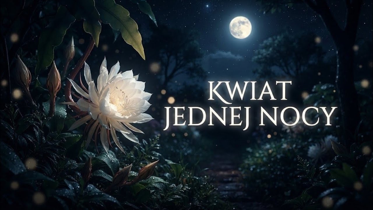 Alibabki - Kwiat jednej nocy [Cover by MuzaIK] Dark Dance Version