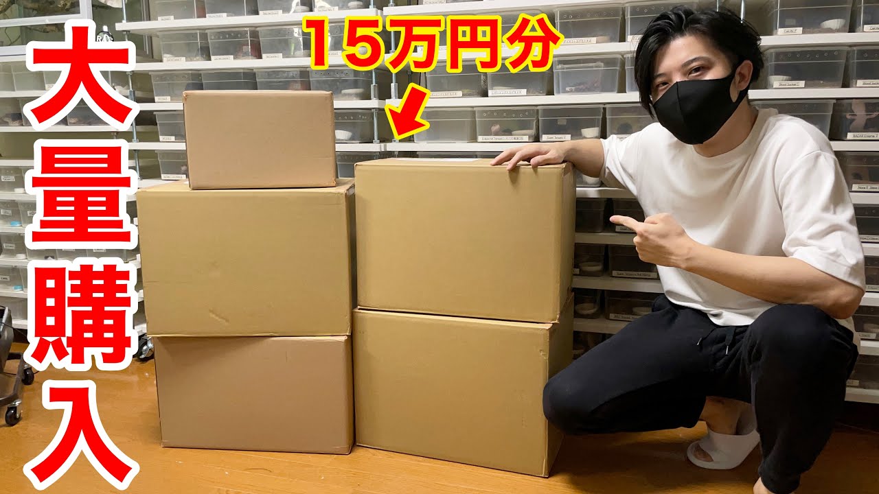 【大量購入】最高にオシャレなケージをまとめて15万円分購入しました。