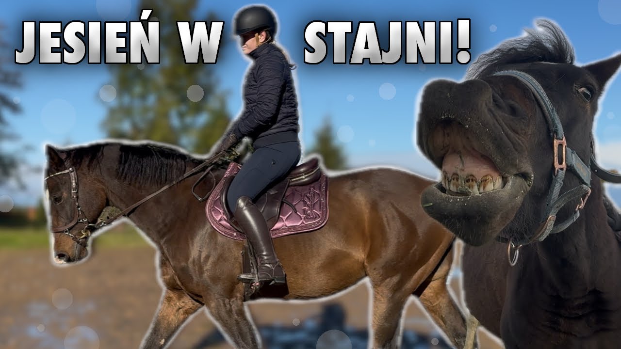 JAZDA, TEREN I JESIENNE OBOWIĄZKI W STAJNI | VLOG #417