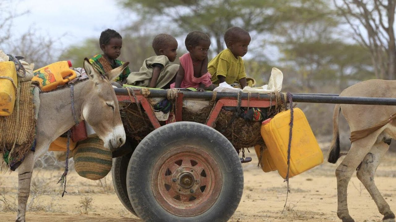 Dadka ka Shaqeysta xaabo gurista ee ku nool xerada xagardheer oo ka cabanaaya laamaha ammaanka Kenya