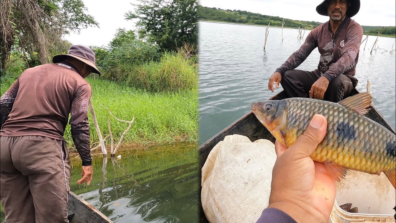🎣Armamos a malhadeira e o resultado foi surpreendente… DOIS PIAU BRUTOS na rede!