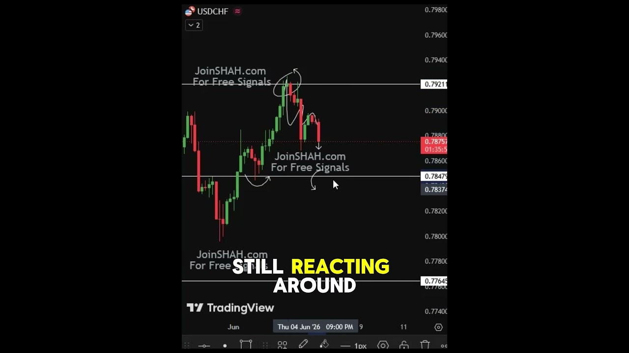 USD/CHF (US Dollar / Swiss Franc) Analysis Today | Key Levels to Watch #trading #forex #investing