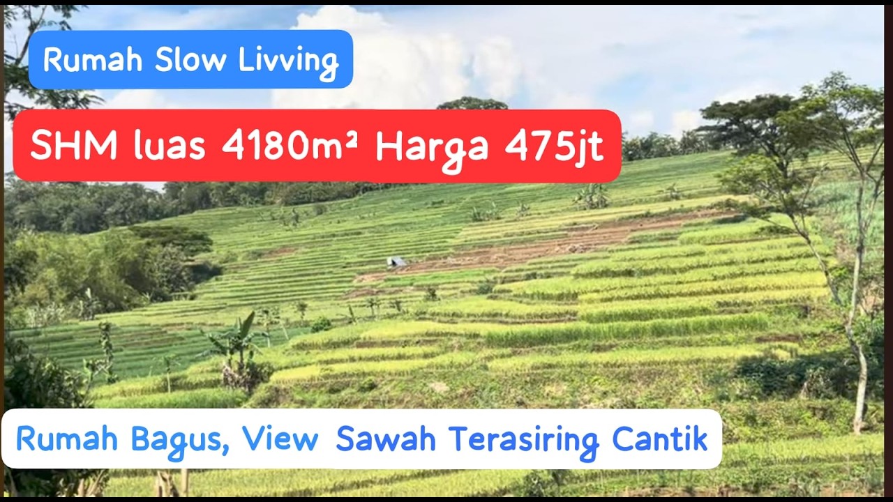 Rumah tradisional Jawa dengan View Sawah terasiring yang Indah. Luas 4180m hrg 475jt