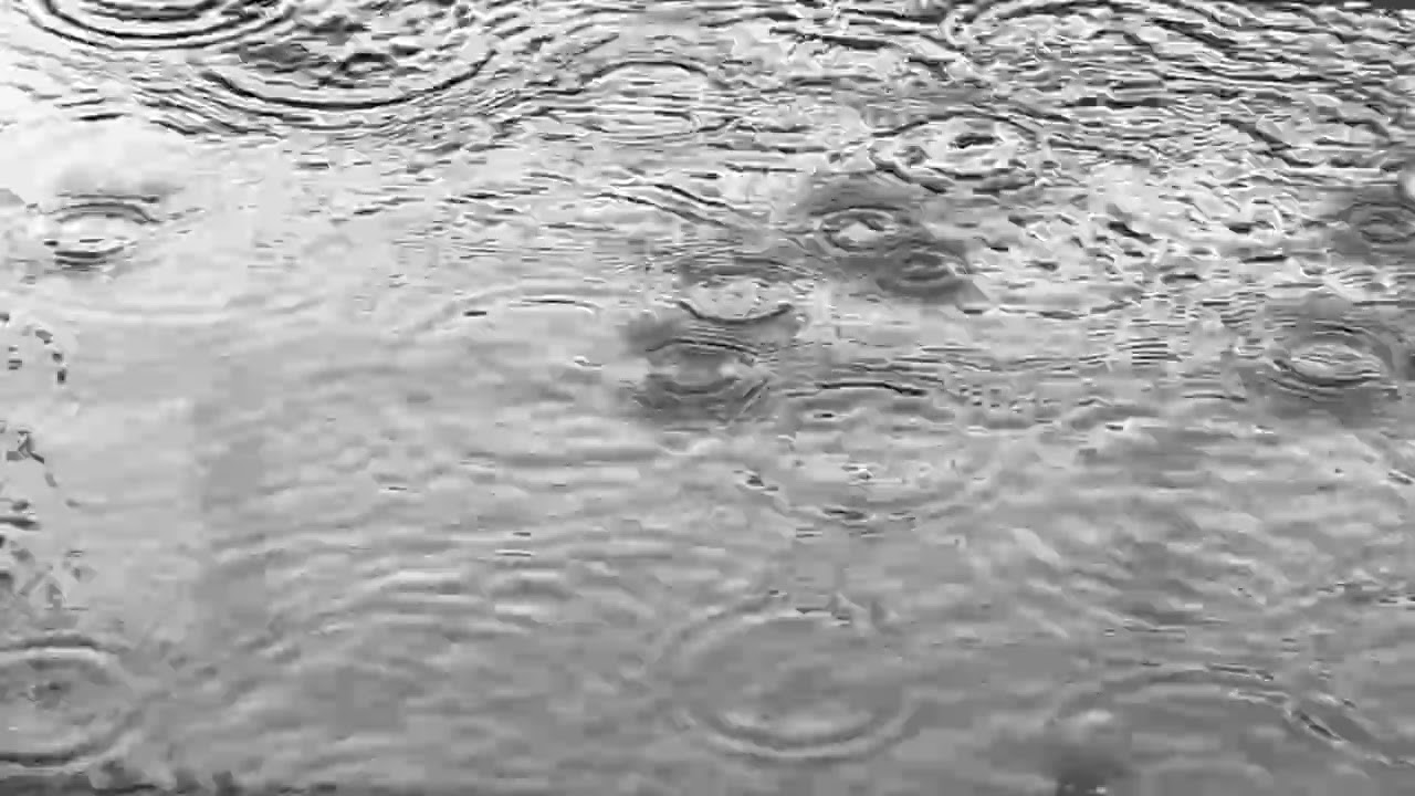 Gentle Raindrops & Ripples | Soft Rain Sounds | 30 Minute Ambience