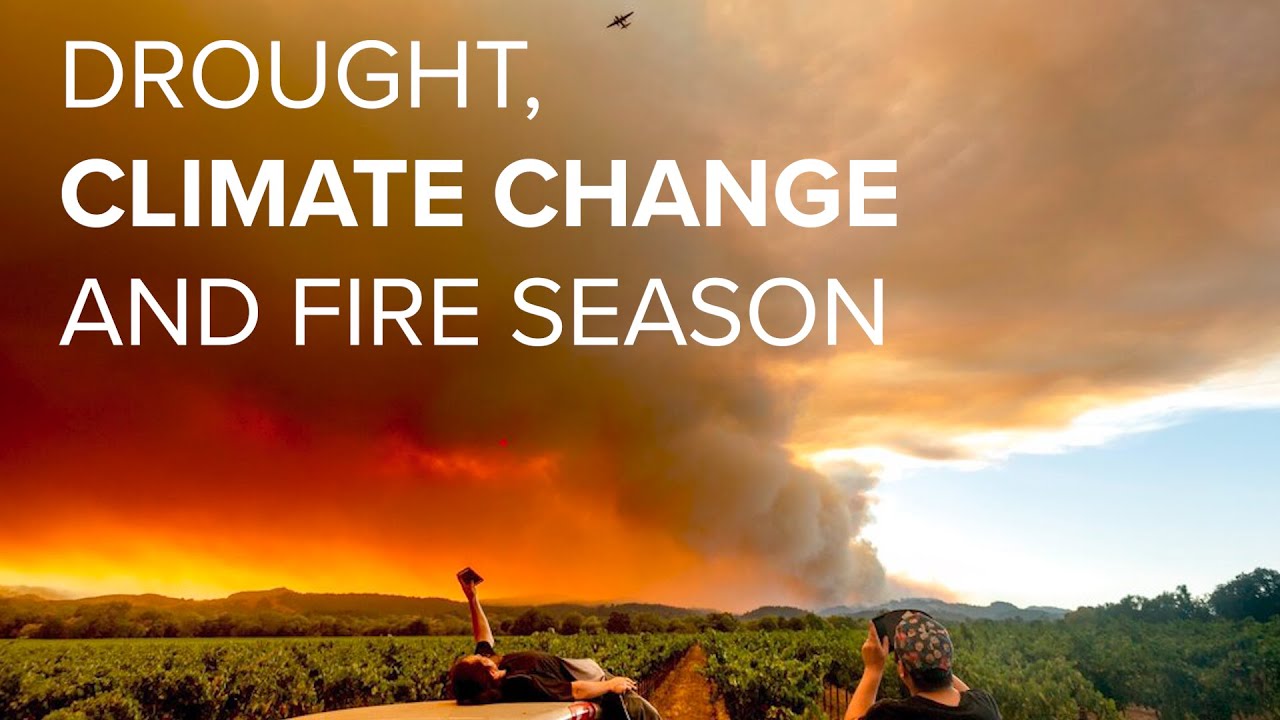Drought, climate change and fire season | Climate Corner with Monica Woods