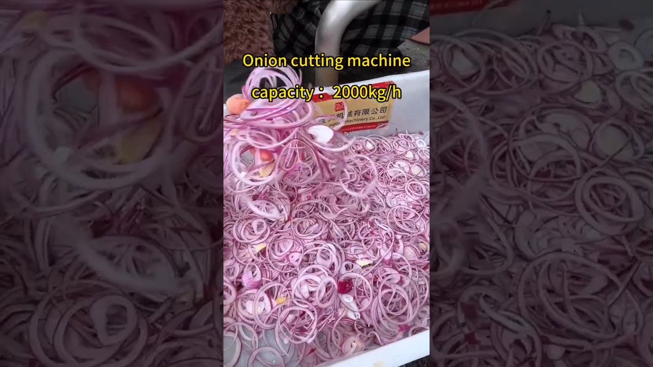 This Onion Cutter Slices 2000 KG per Hour 😲 