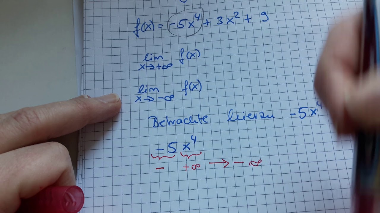 Grenzverhalten am Term erkennen ganzrationale Funktion