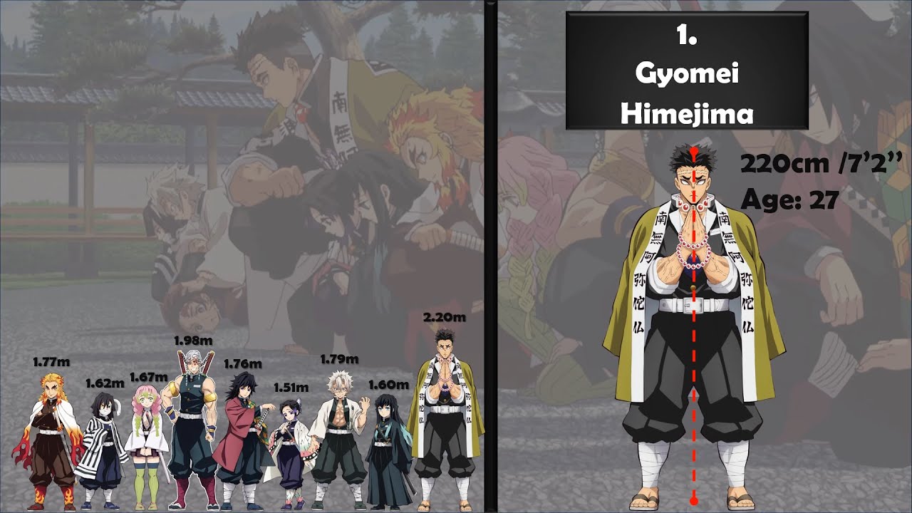 Height Comparison of the Hashiras (From Shortest to Tallest) | Demon Slayer | Anime FaDaC