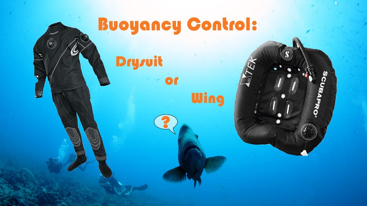 Buoyancy control: Drsuit or Wing?