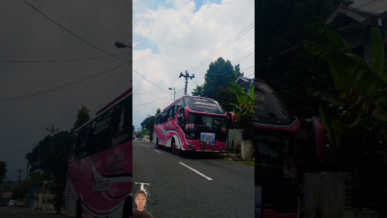 #busmainan