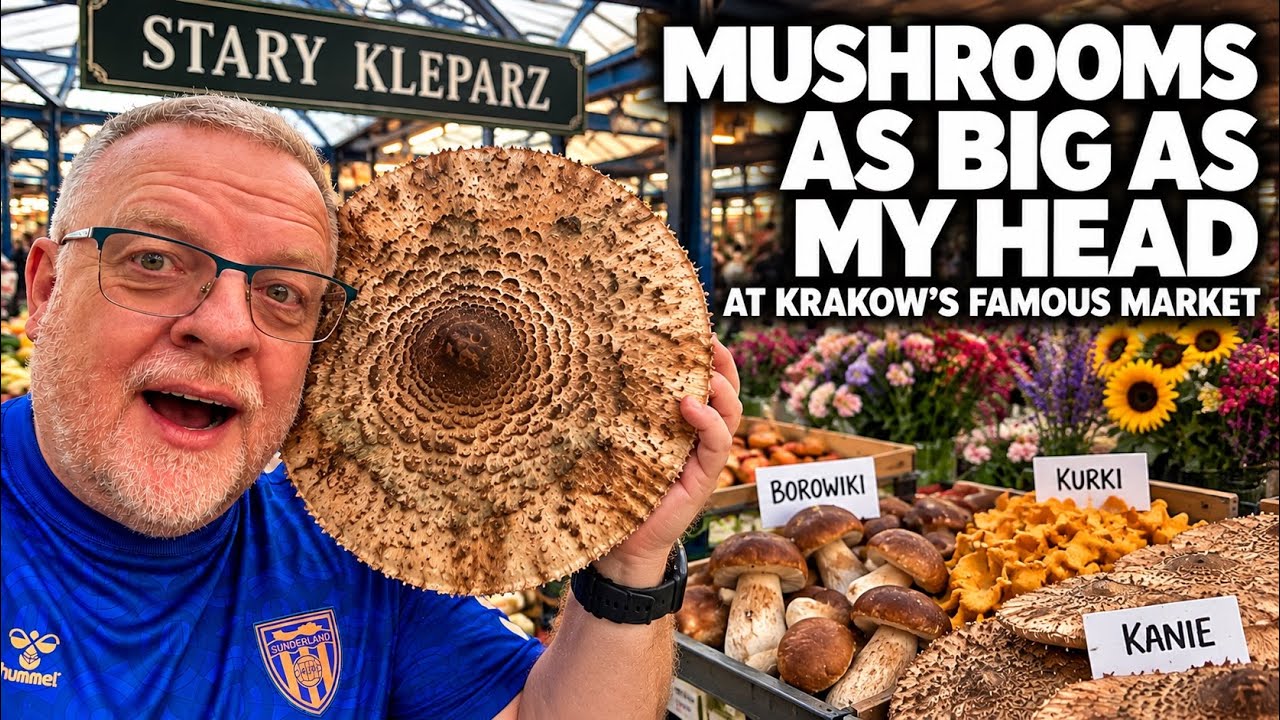 Legendarny krakowski Stary Kleparz &ndash; GIGANTYCZNE grzyby leśne wielkości głowy!!