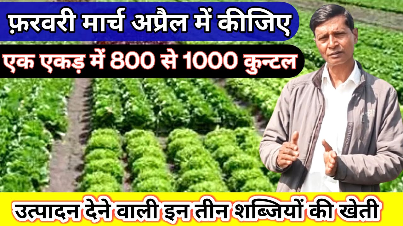 उत्पादन के साथ इस बर्ष मिलैंगे अच्छे दाम manhagee bikane vaalee teen shabjiyaan की खेती ...