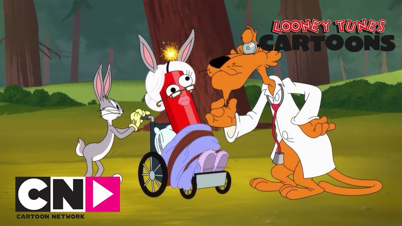 SEVİMLİ KAHRAMANLAR HİKAYELER | Puma Sorunları | Cartoon Network T&uuml;rkiye