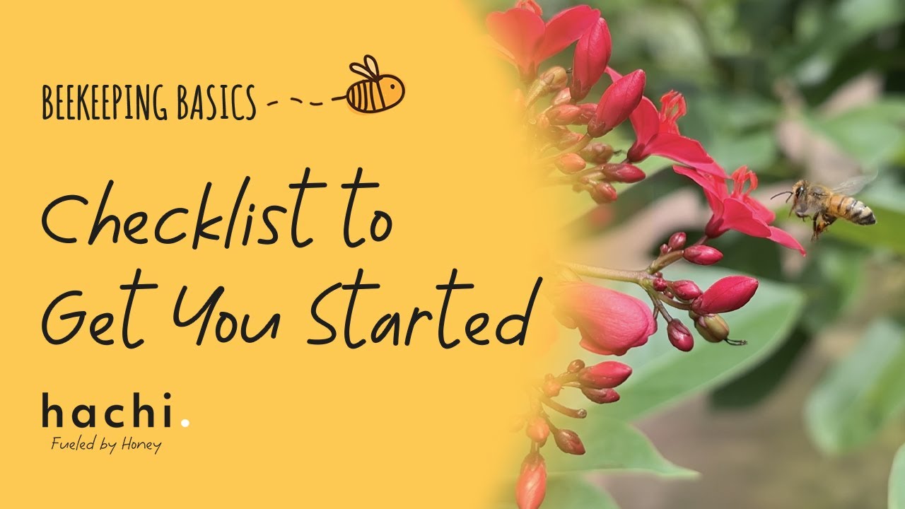 Checklist to Get You Started in Beekeeping in the Philippines