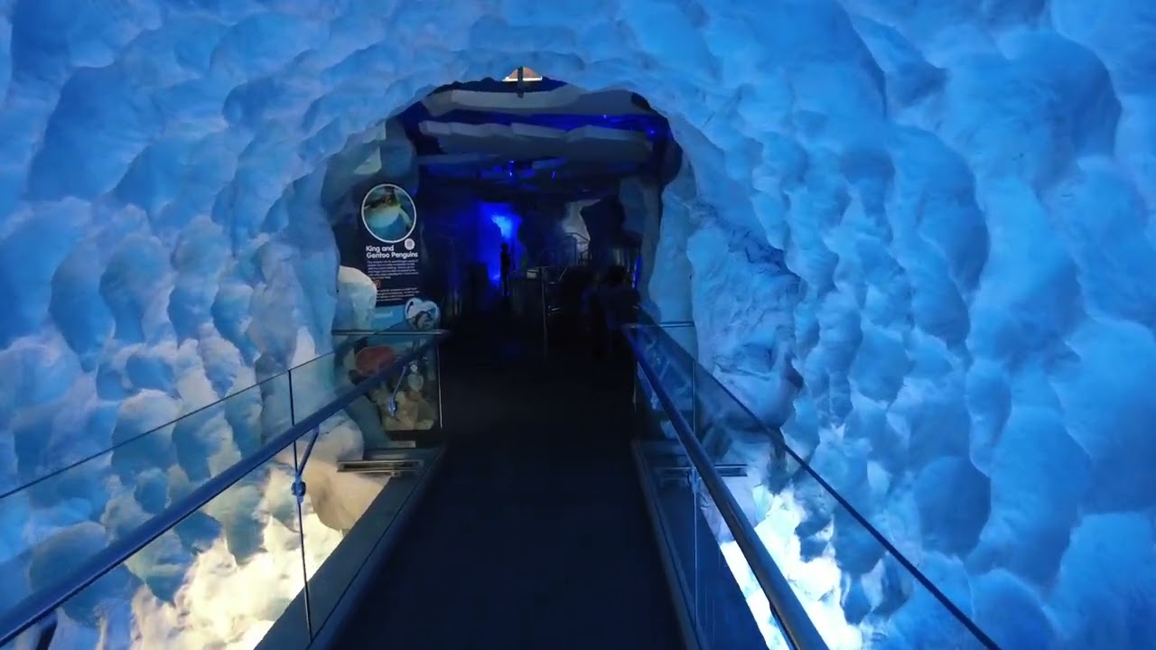 Entrance, Spinning tunnel, and penguins, SEA LIFE Kelly Tarlton's, Auckland