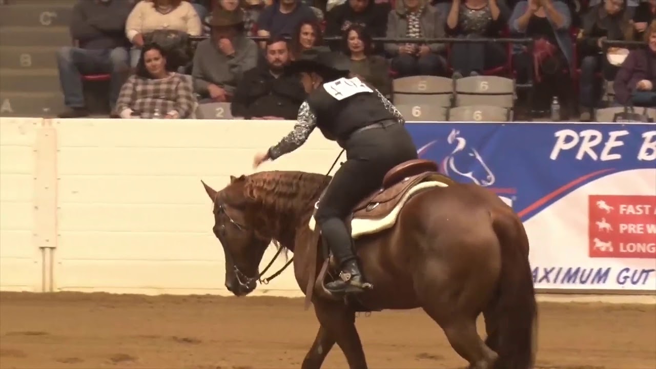 2019 Quarter Horse Congress Freestyle Reining Charlie Thiel Multicam