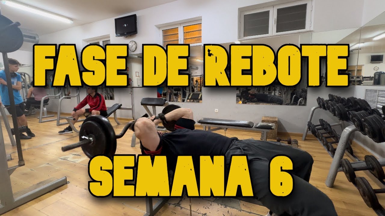 FASE DE REBOTE - SEMANA 6 - TRÍCEPS