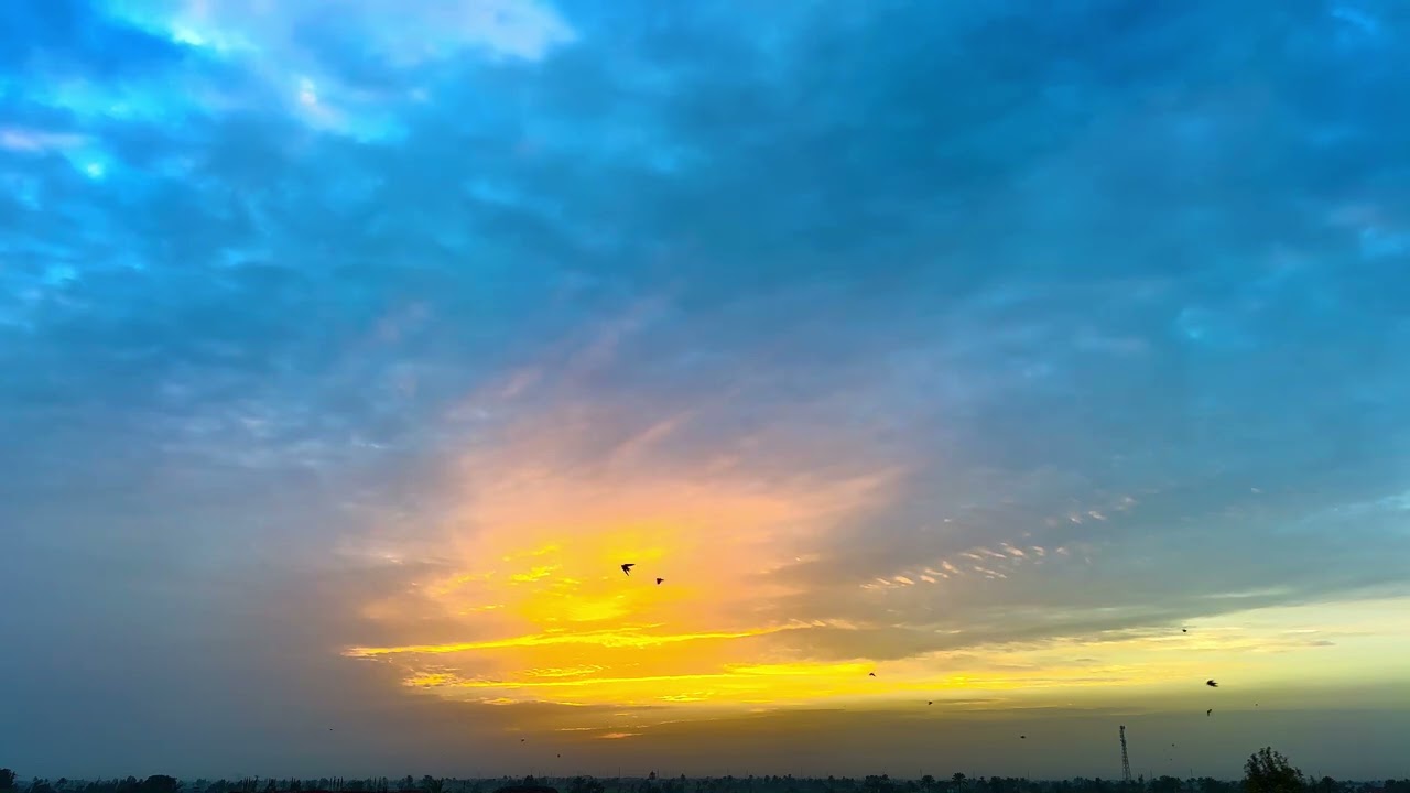 WOW&hellip;Best WhatsApp Status Morning Sunlight &ndash; 50 Sec of Peace ✌️&hearts;️