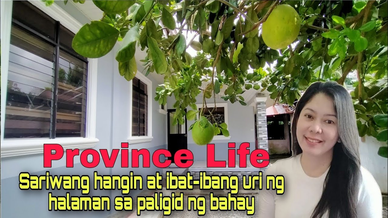 Province Life/Sariwang hangin at ibat-ibang uri ng halaman sa paligid ng bahay